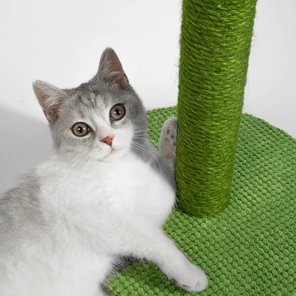 Cat Tree