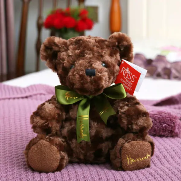 Plush Bear Toy
