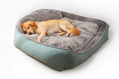 Pet Products