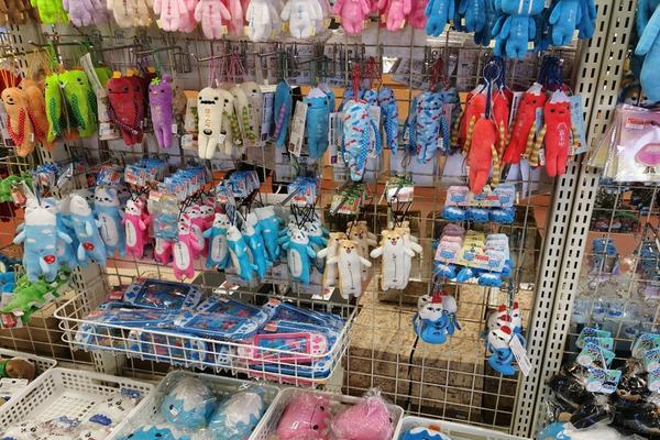 Exploring Japan's Market: A Journey to Enhance Our Furry Companion Offerings